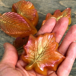 Fall Leaves